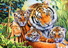 Puzzle Tiger-Familie