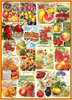 Puzzle Früchte Vintage Collage