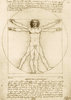 Puzzle Der vitruvianische Mensch - da Vinci